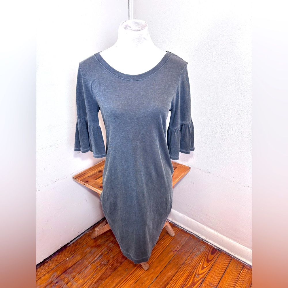 Anthropologie Splendid Ruffle Sleeve Dress